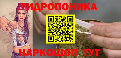 jwh Пенза