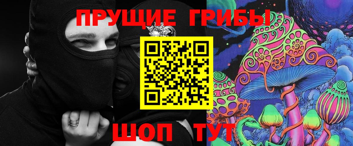 Псилоцибиновые грибы MAGIC MUSHROOMS  Вход с VPN  Псилоцибиновые грибы Psilocybine cubensis  Сергиев Посад 
